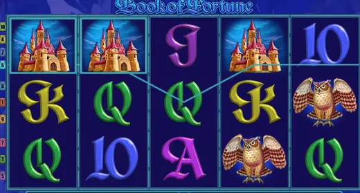 казино Book of Fortune max win